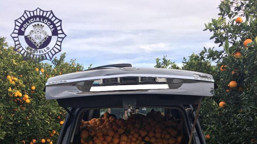 Sorprendido por un vecino de la Marjal con el coche lleno de naranjas robadas