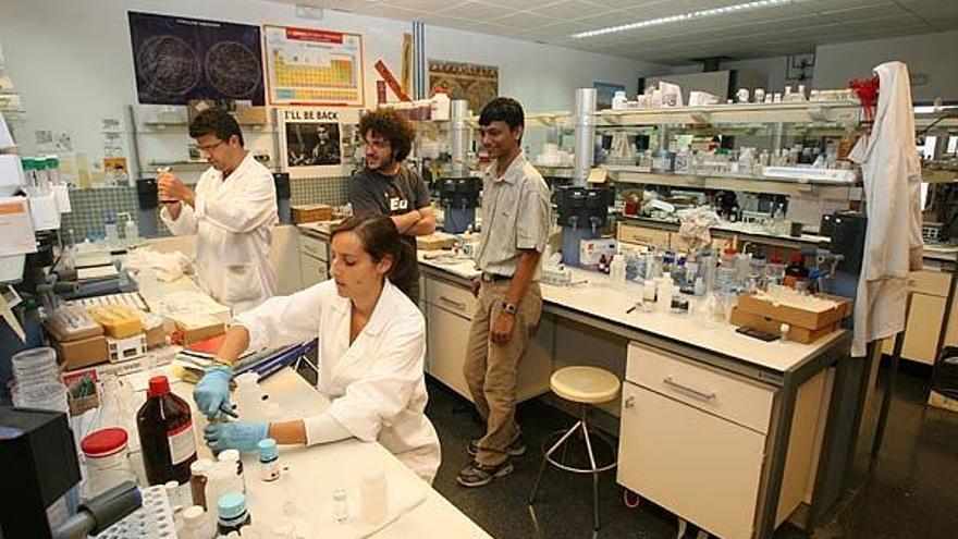 Un grupo de investigadores, en un laboratorio de la Facultad de Química.