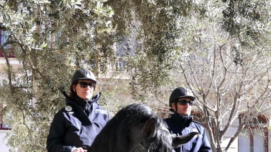 120 policías vigilarán a diario el centro y las zonas de playa de Palma en verano