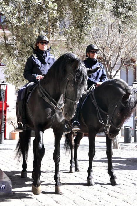 120 policías vigilarán a diario el centro y las zonas de playa de Palma en verano