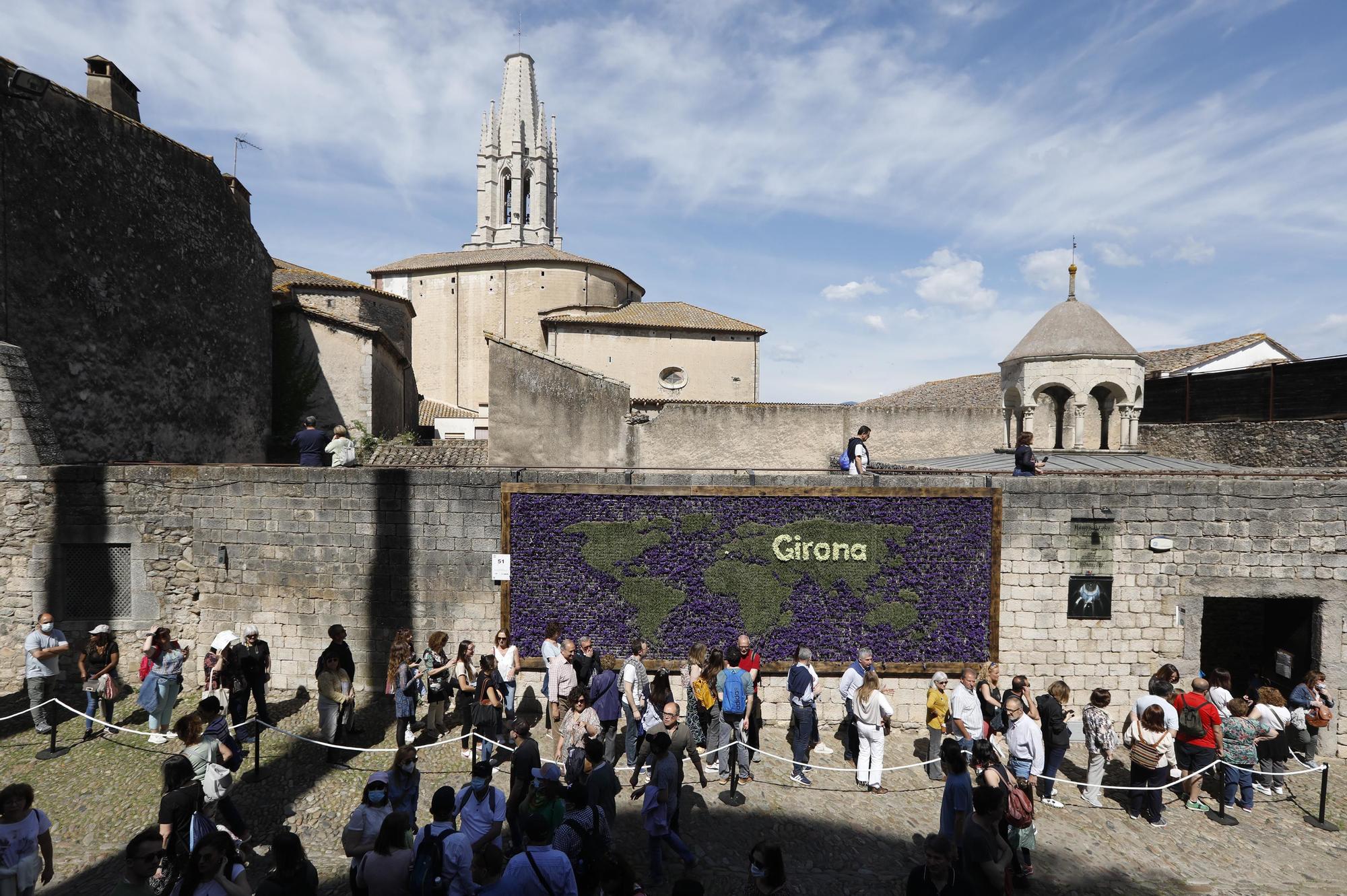 Girona es torna a omplir de color i riuades de gent en el retorn a la normalitat de Temps de Flors