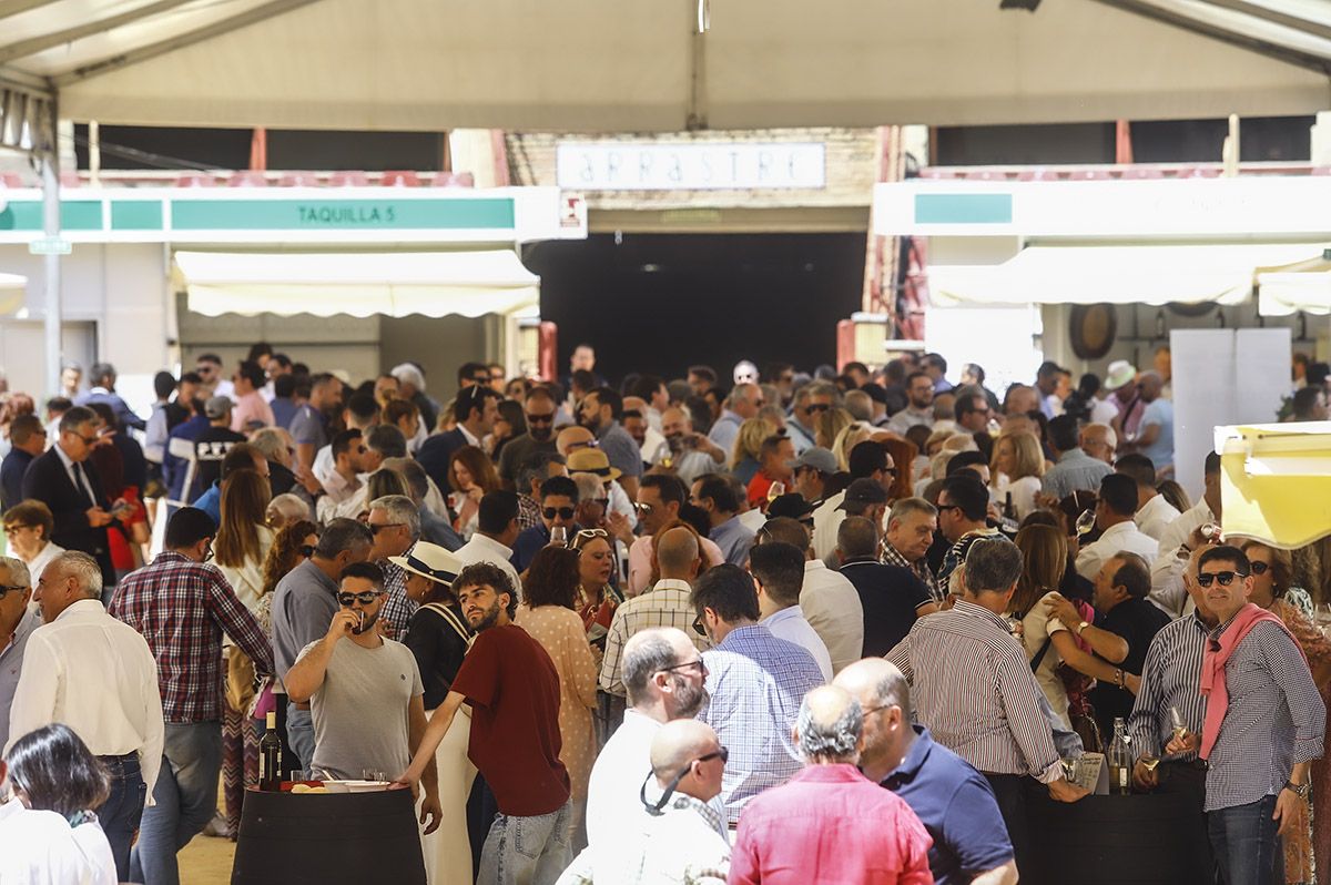 Abre la Cata del Vino de Montilla Moriles en la plaza de Los Califas