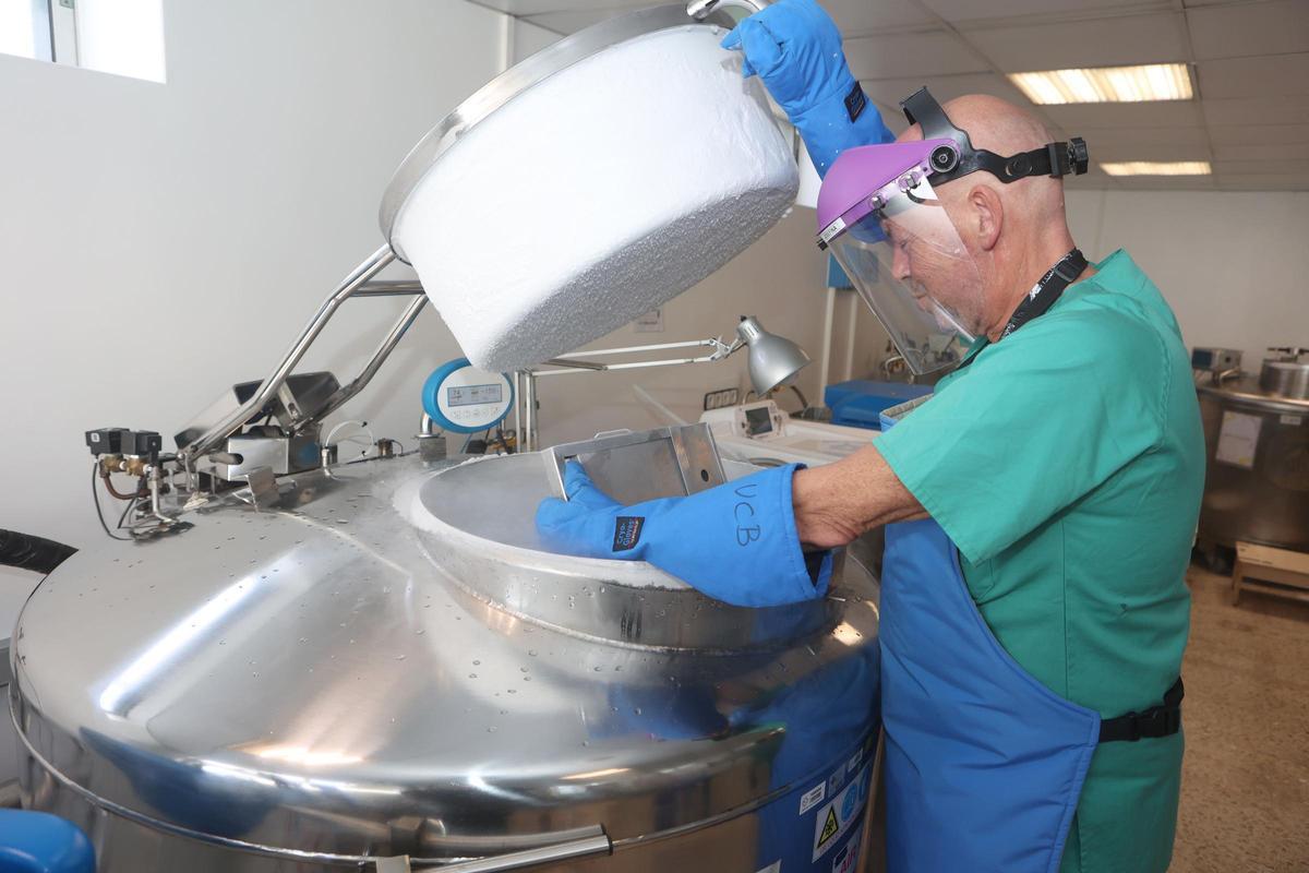 Juan García, técnico de la Unidad de Criobiología del Chuac, manipula un tanque de nitrógeno, en el Hospital Teresa Herrera.