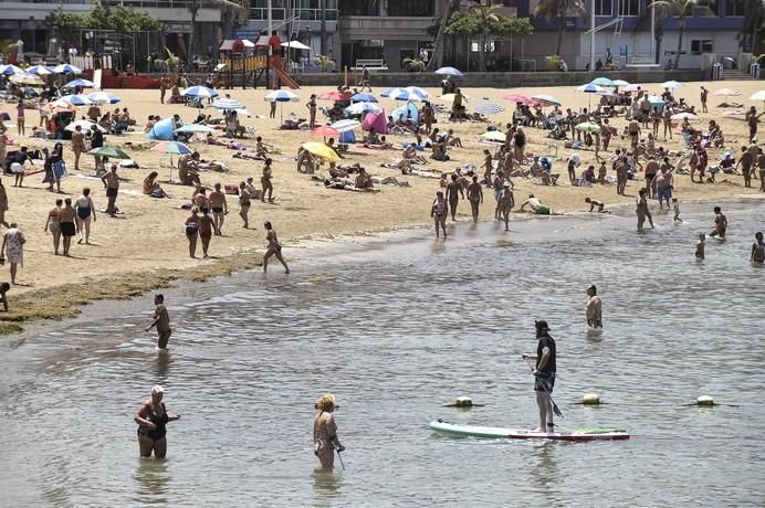 Tiempo en Gran Canaria (29/07/17)