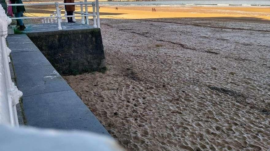 San Lorenzo, congelada por las heladas.