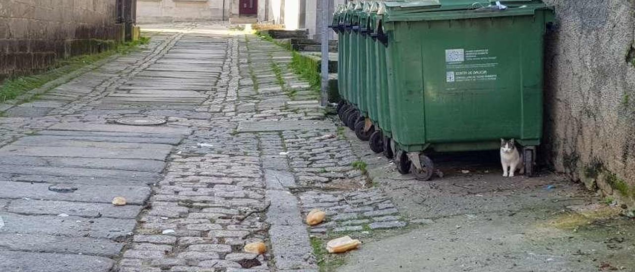 Una &quot;estampa&quot; para el turismo en Cangas. Parece la estampa de un barrio marginal de una gran urbe global, pero es la parte trasera de la excolegiata de Cangas. Así estaba en pleno puente de diciembre, con la villa abarrotada de turistas. La degradación de la calle Estrela es alarmante y los vecinos consideran ya la situación insoportable. Alguien tendrá que ponerse las pilas. Gonzalo Núñez