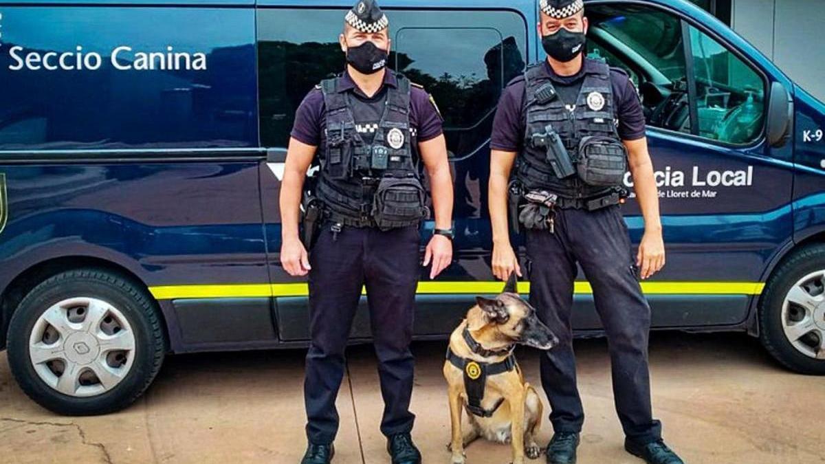 Dos components de la Unitat Canina de la Policia Local amb un dels gossos.