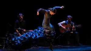 El festival Ciutat Flamenco celebra els seus 30 anys amb una àmplia programació