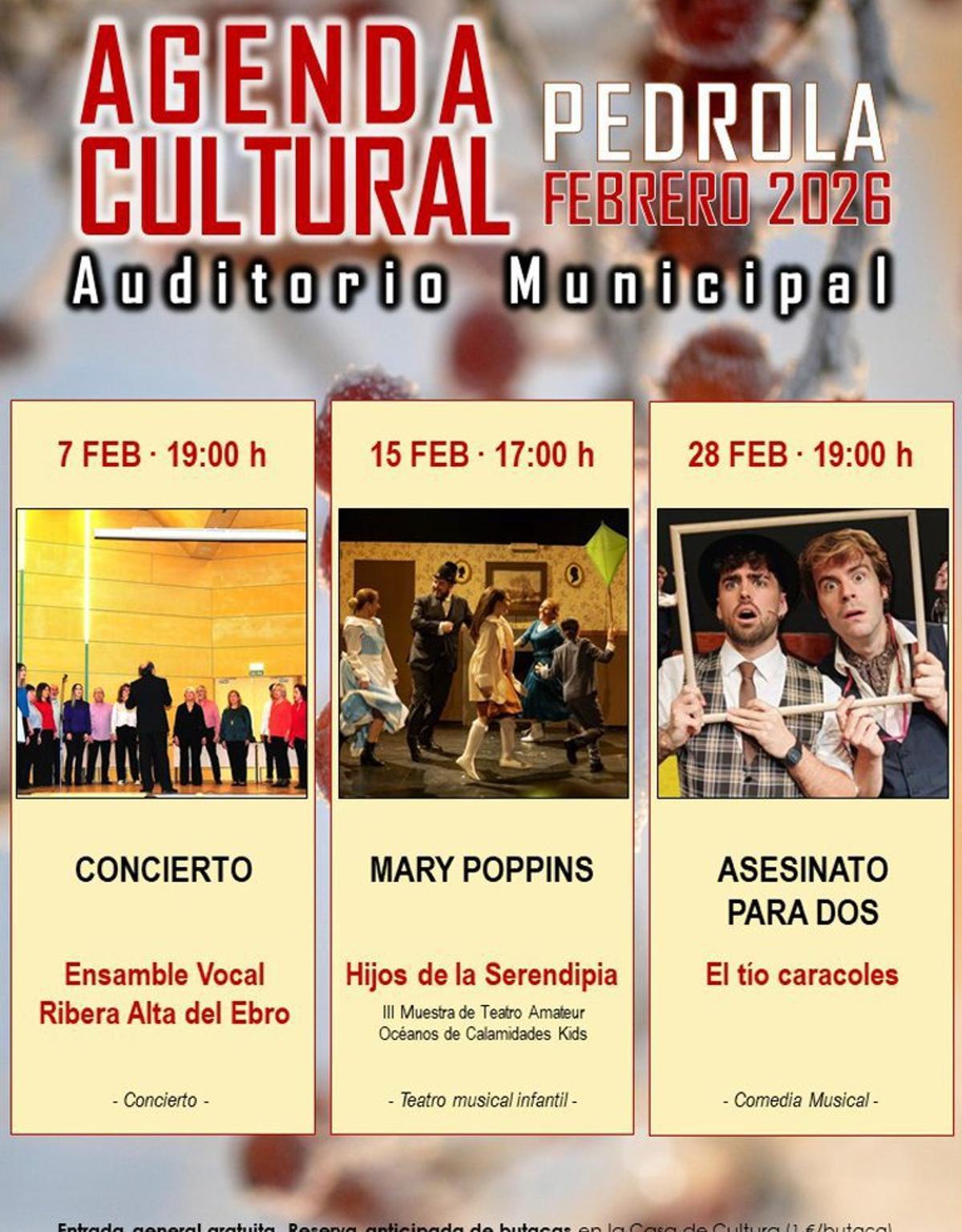 Concierto, espectáculo infantil y musical, las citas.