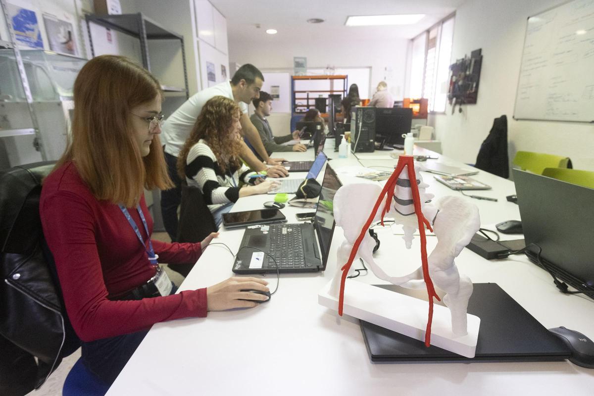Alicante exporta a Europa prototipos en 3D del cerebro