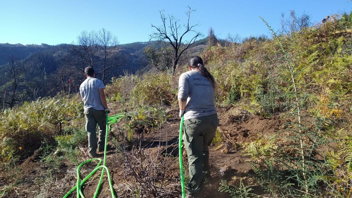 Imagen de los trabajos.