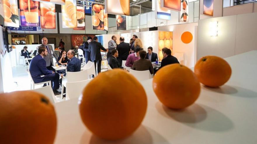 La firma Martinavarro crea el mayor grupo citrícola europeo