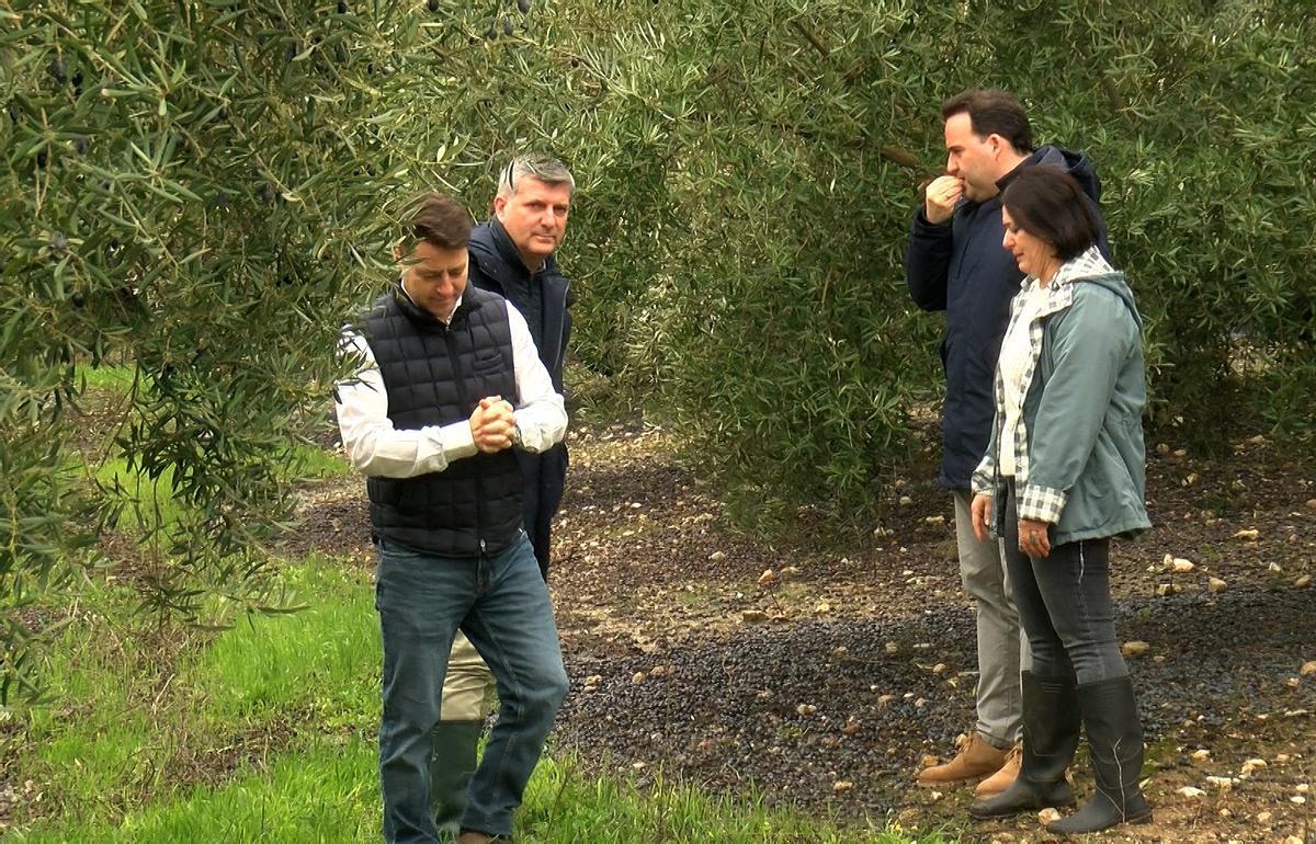Francisco Acosta, con el alcalde y representantes de la DOP Priego de Córdoba, en un olivar.