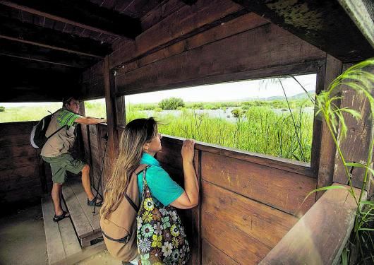 Uno de los miradores desde donde divisar las aves en su hábitat natural