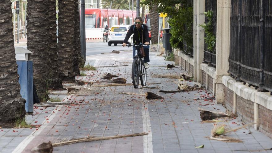 Treinta y cinco años del temporal de viento que acabó con la vida de 6 personas y arrasó València