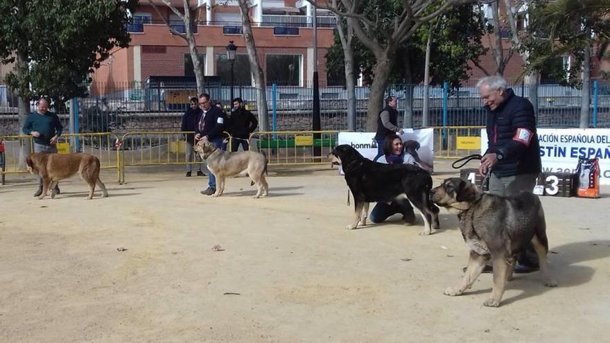 El certamen tuvo lugar en el parque Pediatra Diego Pallarés.