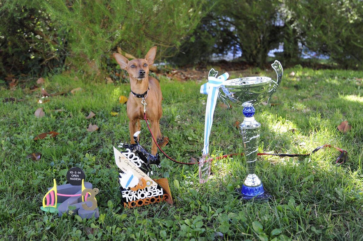 Nala, con algunos de sus trofeos.