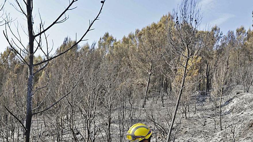 Un bomber treballant en l’extinció definitiva del foc. | ANIOL RESCLOSA