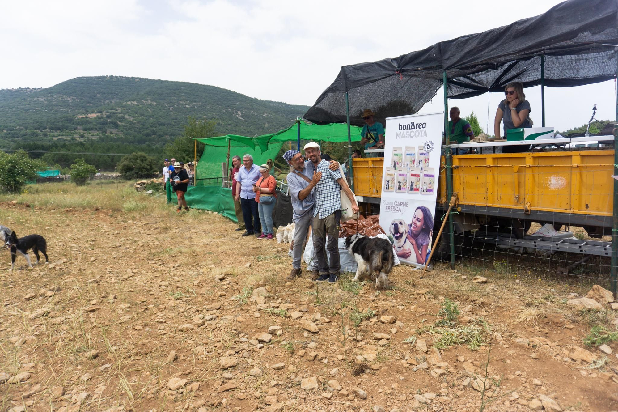 FOTOGALERÍA: Las imágenes del concurso de perros pastores de Ares del Maestrat
