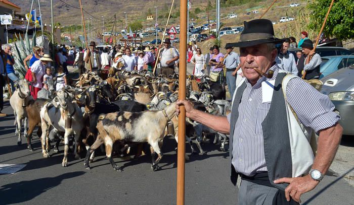 Romería de San Antonio el Chico