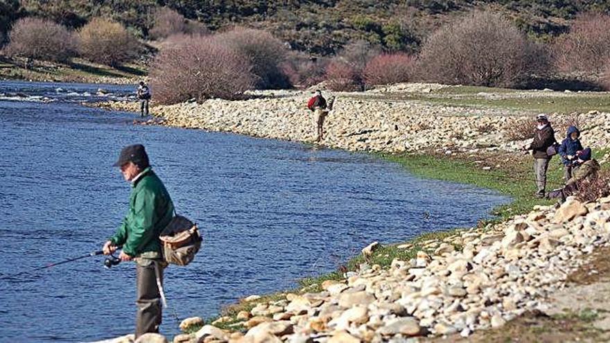 Un grupo de pescadores trata de capturar truchas en la cola del embalse de Cernadilla, en Puebla.