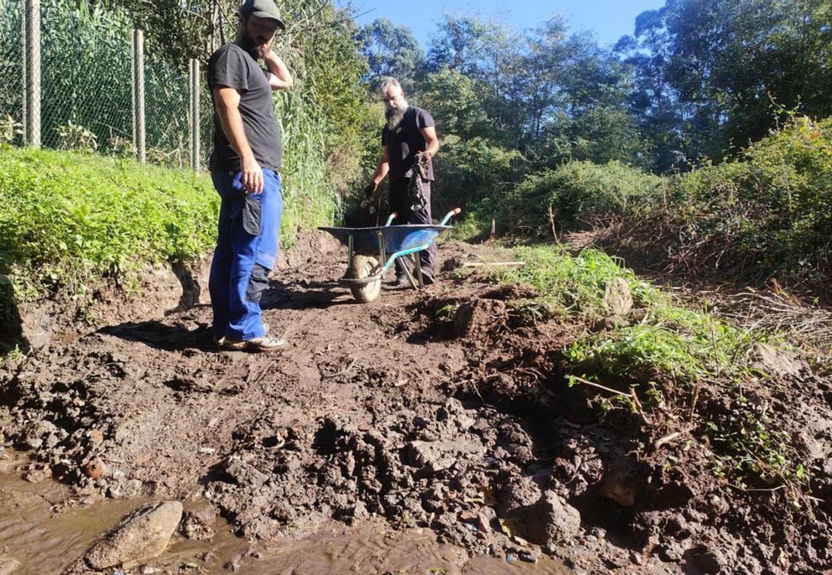 Limpieza manual del empedrado. | F.G.S.