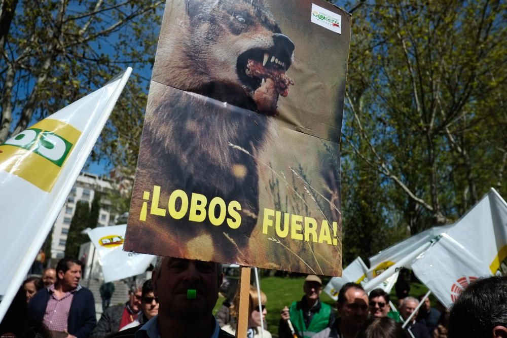 La Alianza se manifiesta en contra del lobo