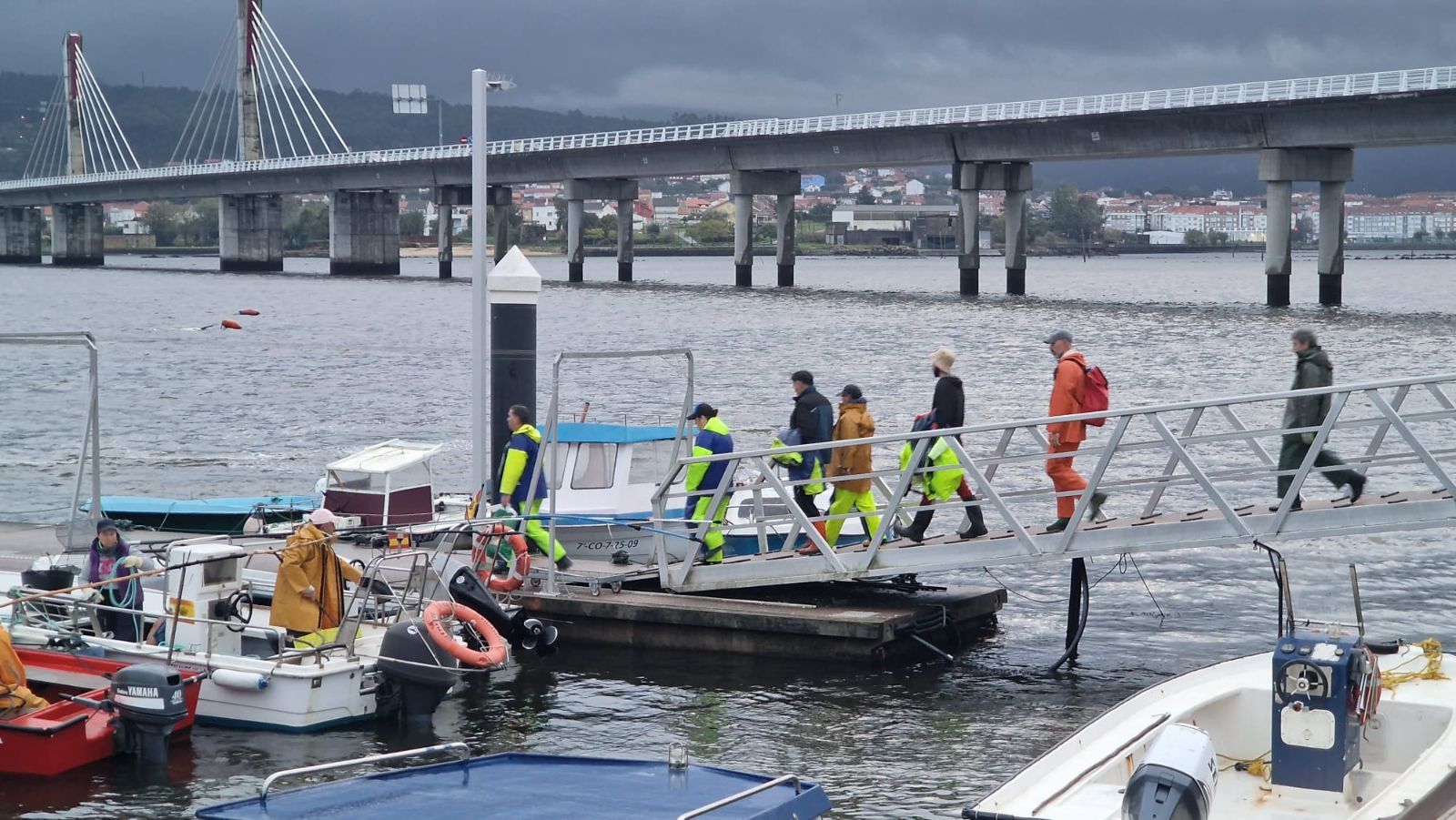 Así es el día a día en el puerto y la lonja de O Testal (Noia), donde cada vez se dan cita más mariscadores arousanos.