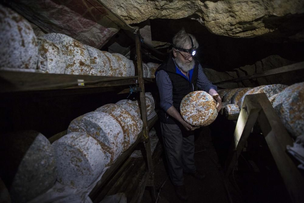 Producción de queso de Gamonéu.