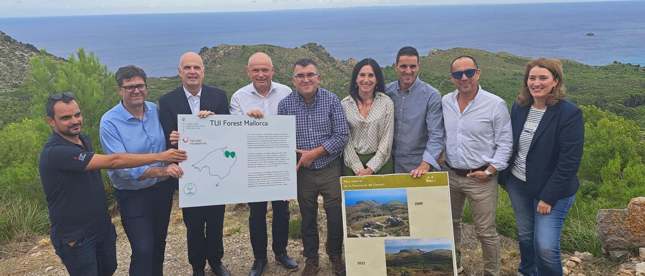 Tui will 2024 auf Mallorca einen neuen Urlauberrekord aufstellen und  pflanzt Bäume im Naturpark