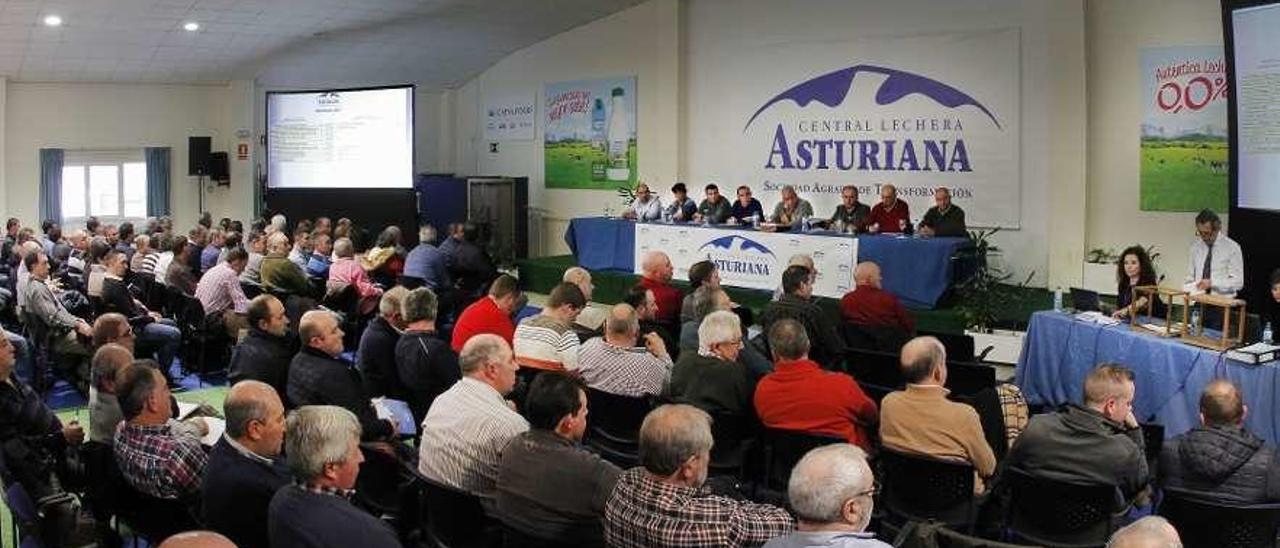 Una asamblea electoral de Central Lechera Asturiana en su sede de Granda (Siero).