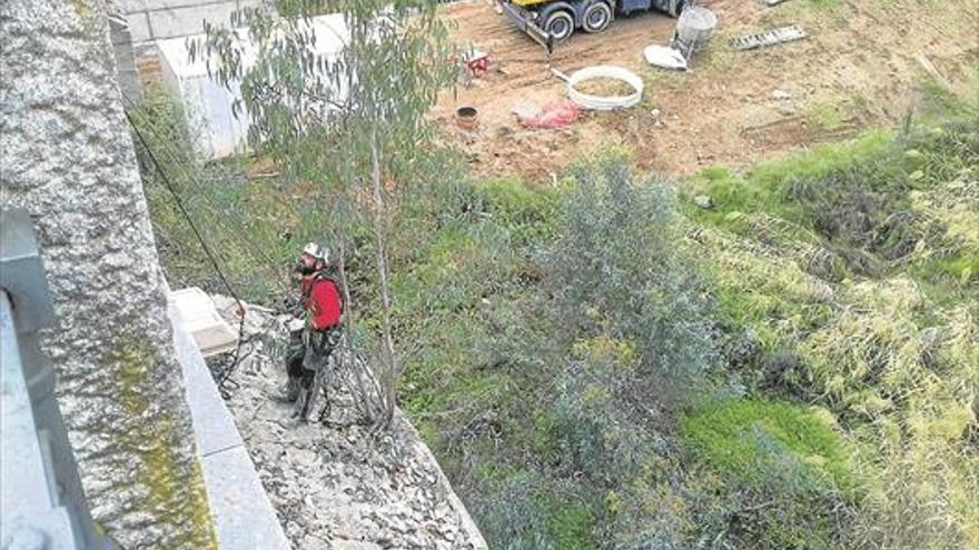 Una empresa especializada retira del puente Viejo de Badajoz plantas enraizadas