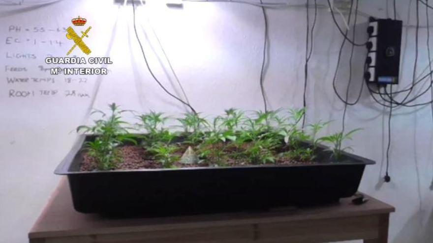 Parte del almacén habilitado como cultivo indoor.