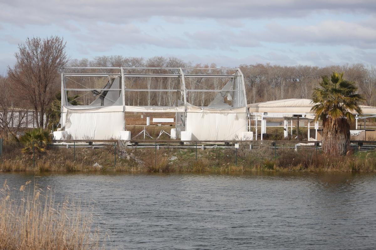 Carpa deshecha en las playas.