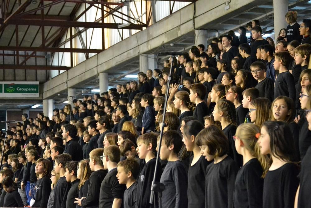 Cantata Escolar d'Igualada