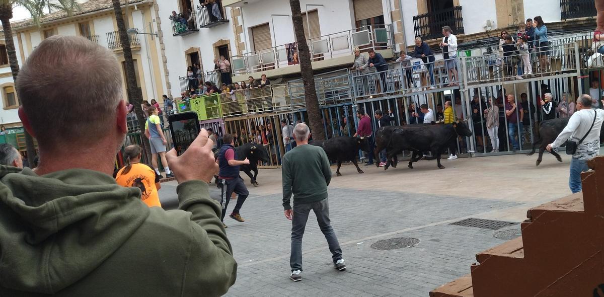 Imagen de archivo de los "bous al carrer" de Xàbia