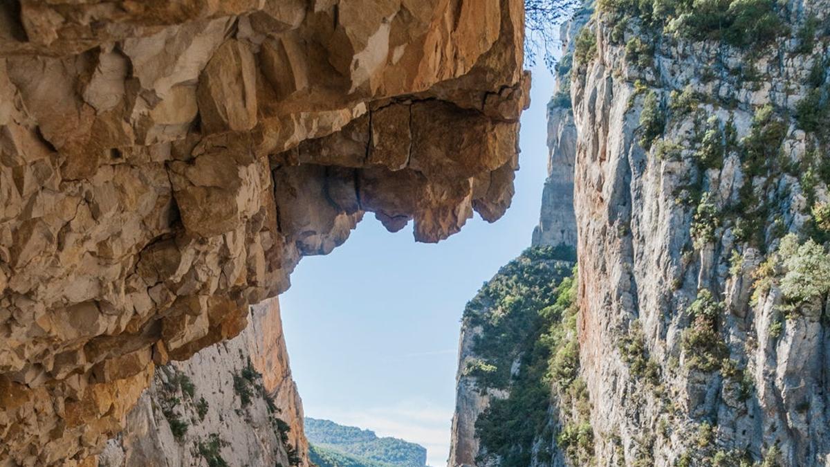 Los destinos de naturaleza de 2021: España e Internacional