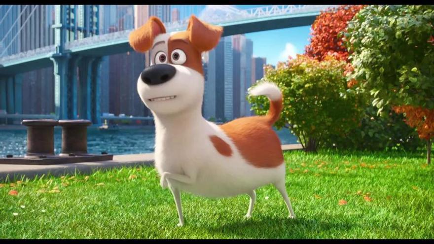 Tráiler de "Mascotas", la nueva película de animación de Universal