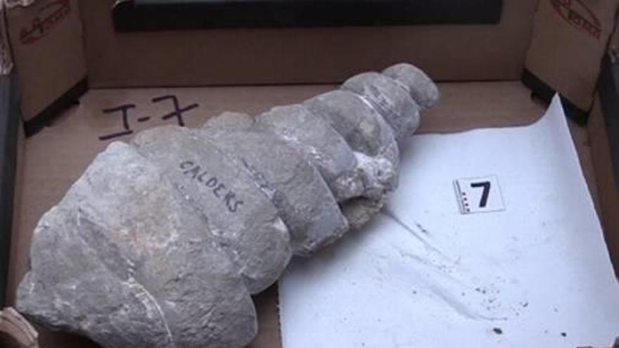 Un dels fòssils que van ser robats a Calders, al Moianès