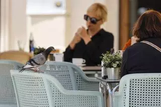 Així és Recigarum, el fàrmac per deixar de fumar en 25 dies que finança Sanitat: en solució oral i amb gust de menta