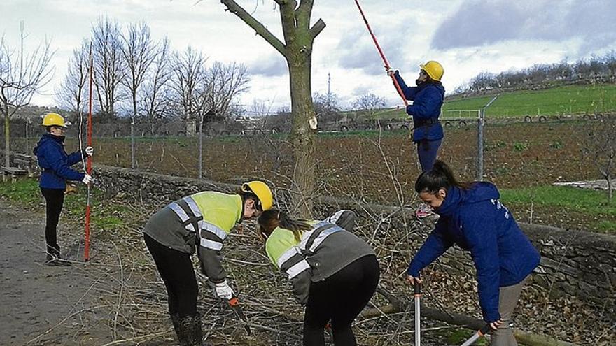 Diez jóvenes se forman en instalación y mantenimiento de zonas verdes