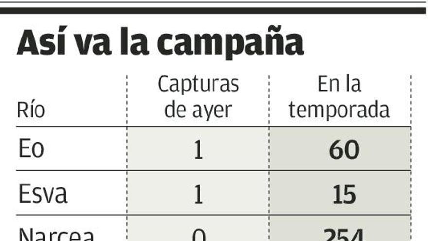 Los ríos revueltos aumentan las capturas: 23 salmones