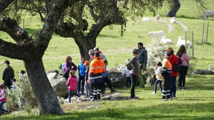 La Asociación Naturaleza del Campo Arañuelo se estrena con una charla sobre mariposas el día 3 de abril