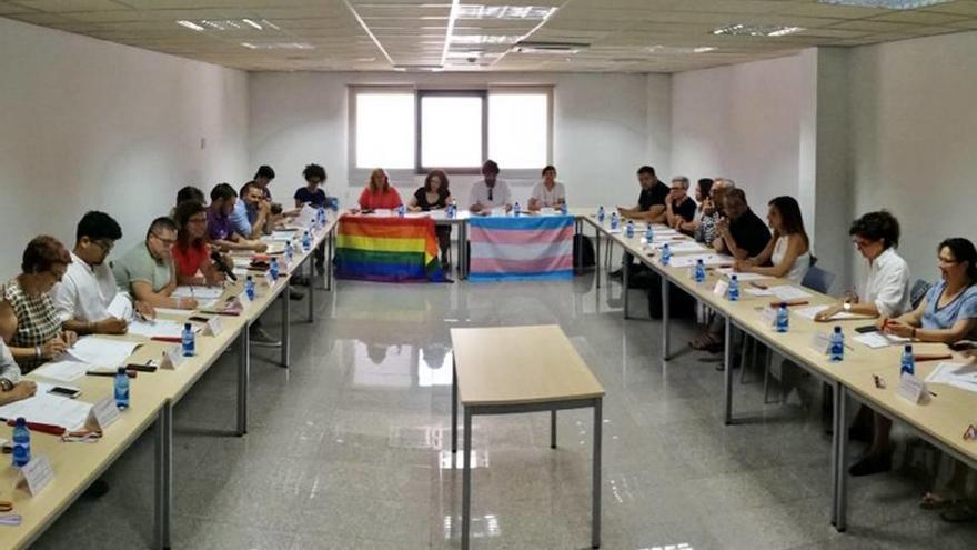 El Consell LGTBI hace balance