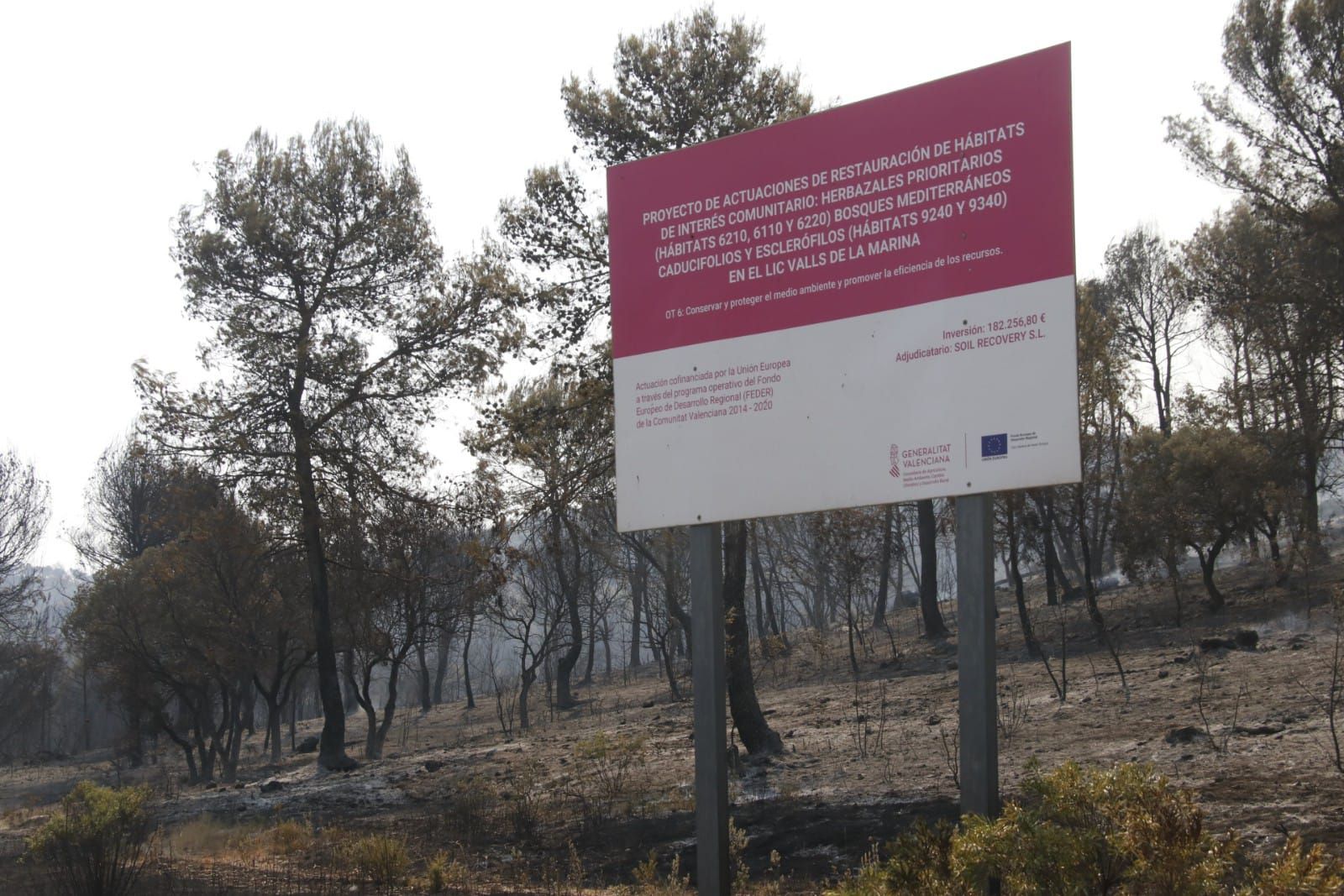 El incendio en la Vall d'Ebo calcina 2.200 hectáreas y se estudian desalojos