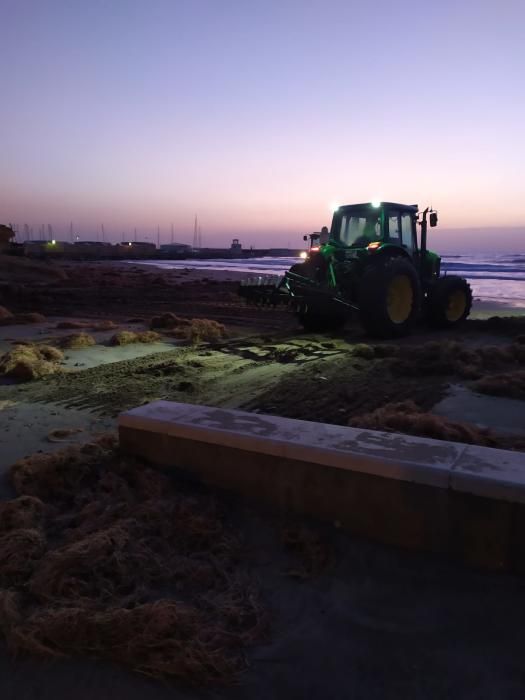 Daños por el temporal en El Campello