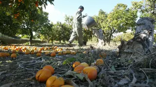 La Diputación de Castellón reclama al Gobierno la zona catastrófica tras el temporal