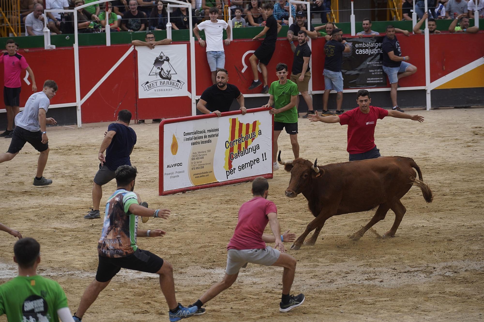 Les imatge del correbou de Vidreres