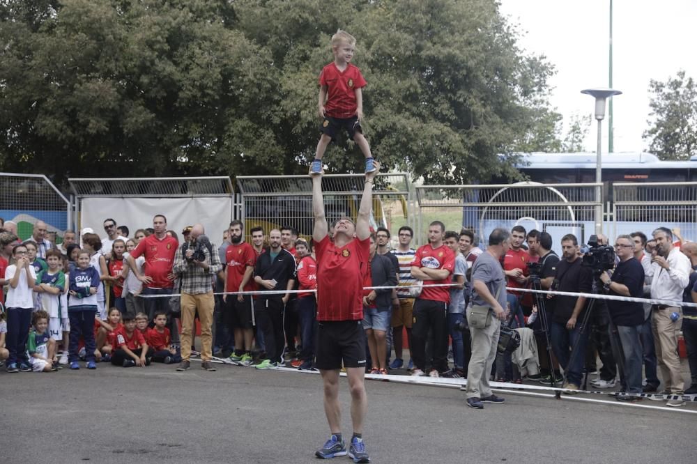 Fußballfans des RCD Mallorca hatten vor dem Spiel gegen Alcorcón am Sonntag (23.10.) Gelegenheit, zusammen mit dem Ex-NBA-Profi Steve Nash eine Runde Basketball spielen. Der Kanadier ist Aktionär beim Zweitligisten und will den Klub mit der Aktion unterstützen.