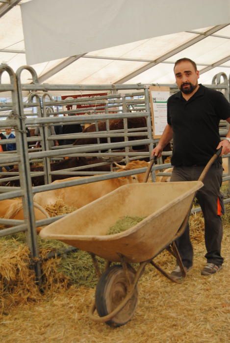 Segona jornada de la Fira de Sant Isidre a Solsona